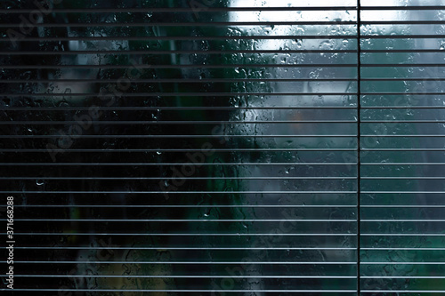 From my window, view of a rainy day from a window with Venetian blind.