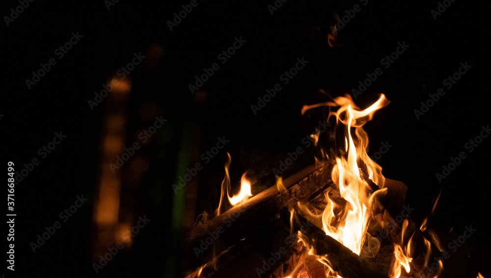 Bonfire with family in the forest at night in Ukraine 2020 Bonfire with family in the forest at night in Ukraine 2020