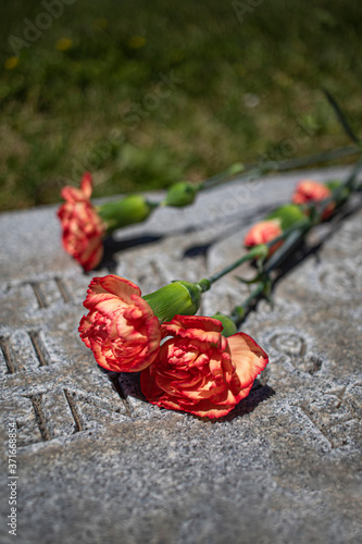 red orange flowers laid on a gravestone