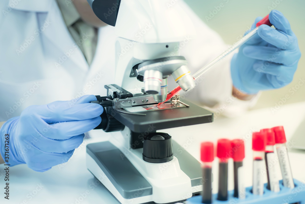 Scientists are preparing samples To examine the specimens with a microscope in lab, Dropping the solution on to a glass plate with a pipette on microscope, pharmaceutical concept,Invented the vaccine Scientists are preparing samples To examine the specimens with a microscope in lab, Dropping the solution on to a glass plate with a pipette on microscope, pharmaceutical concept,Invented the vaccine