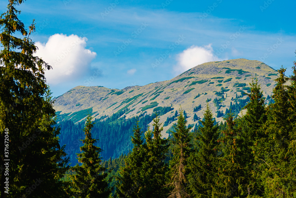 Obraz premium Amazing mountain landscape with blue sky with white clouds, sunny summer day in Bukovel Carpathians, Ukraine. Natural outdoor travel background.