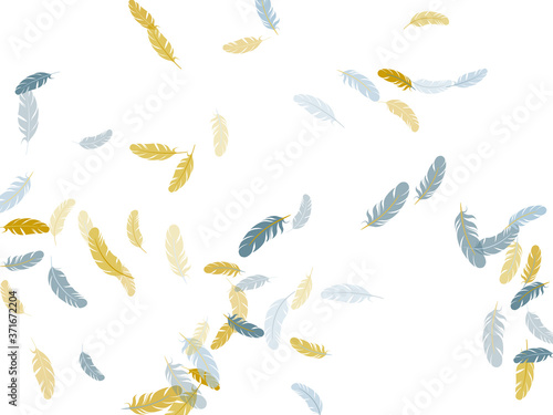 Flying feather elements airy vector design.