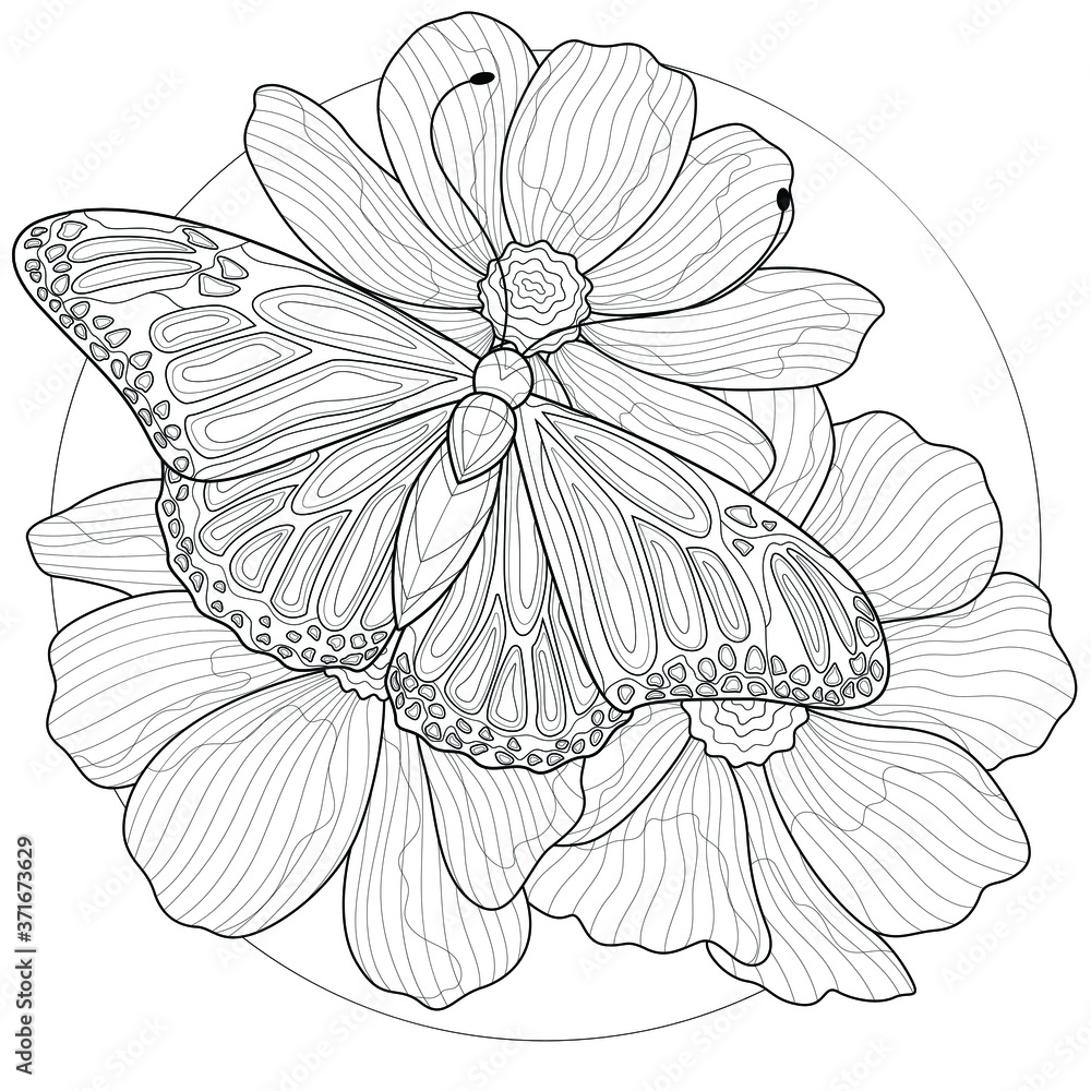A butterfly sitting on a flowers.Coloring book antistress for children and adults. Black and white drawing.Zen-tangle style.