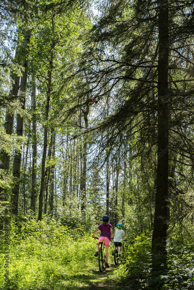 Children mountain biking through aspen forests in Alberta Provincial parks.