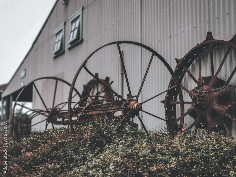 Even an old farm equipment could be a nice object in a photographer view Even an old farm equipment could be a nice object in a photographer view