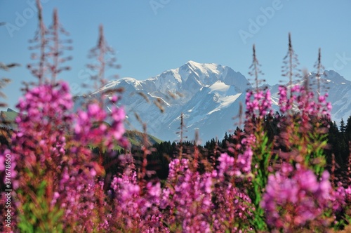 Massif du Mont Blanc, Haute Savoie, France