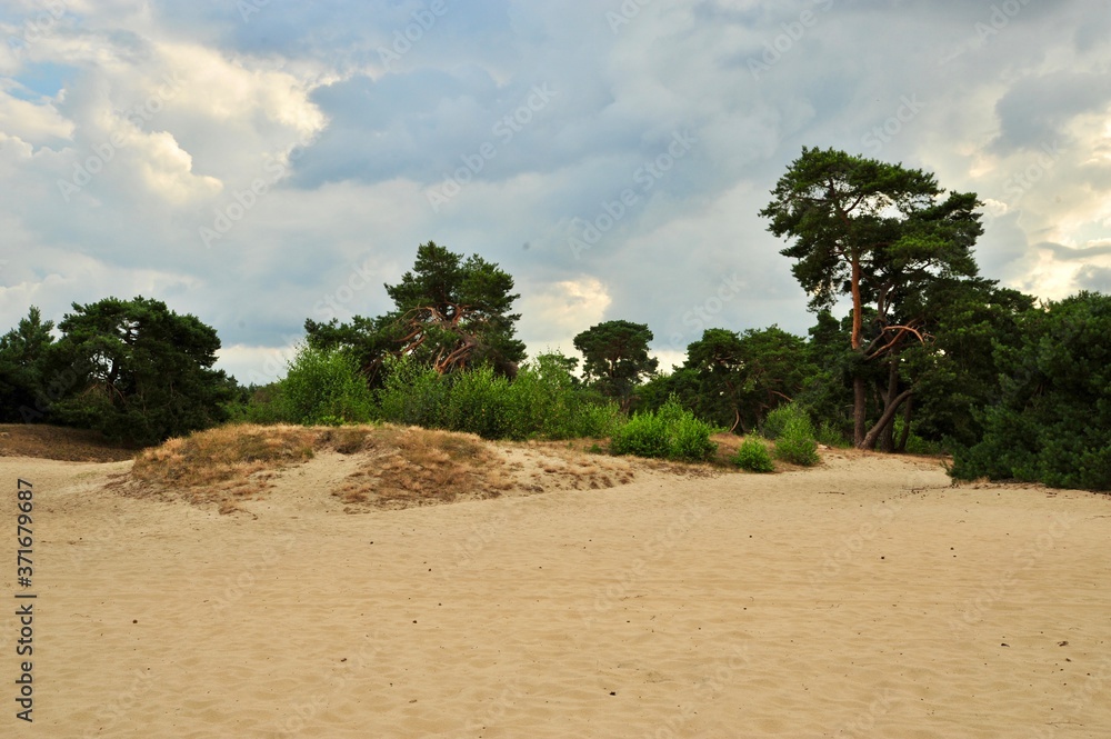 Soester Duinen