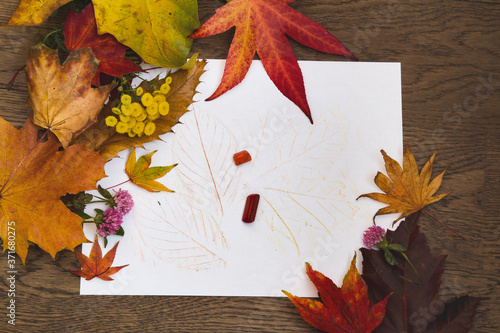 Childrens leaf rubbing with crayons and decorated with fall leaves; Autumn leaves and tansy surround kids leaf rubbing