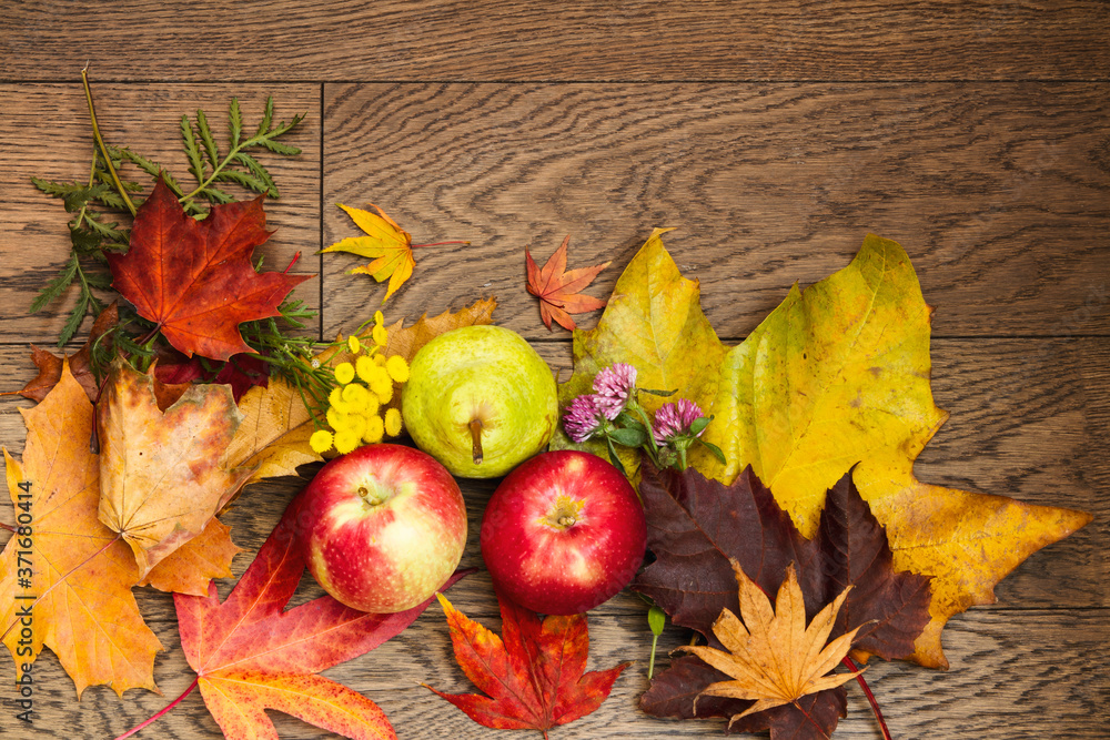 Fall leaves surround a display with apple and pear; vibrant autumn leaves with red apple and green pear