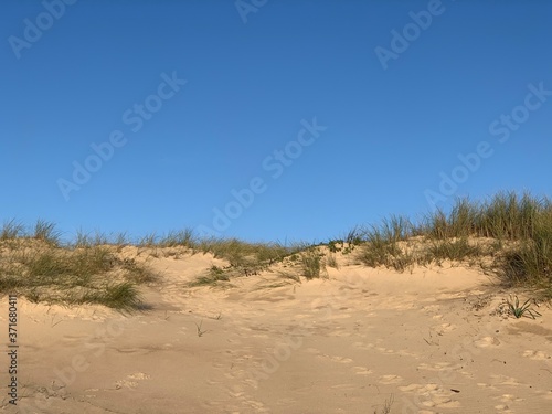 Beautiful landscape with sand and dunes vegetation in Fonte da Telha, Portugal