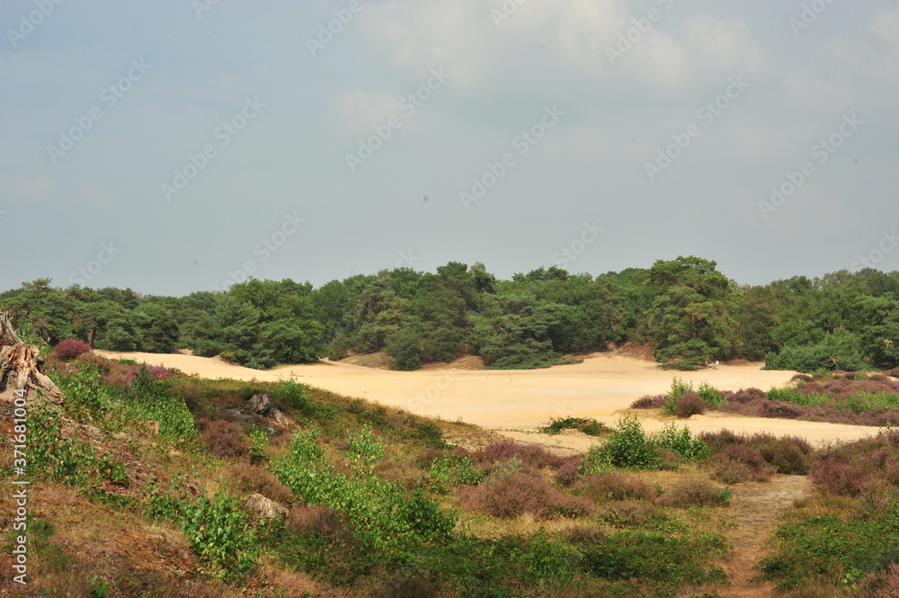 Soester Duinen