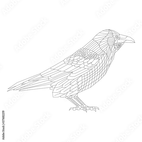 Lines drawn raven. Doodle sketch crow bird for coloring book page.