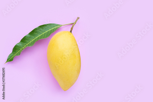Top view of yellow mango on pink background.