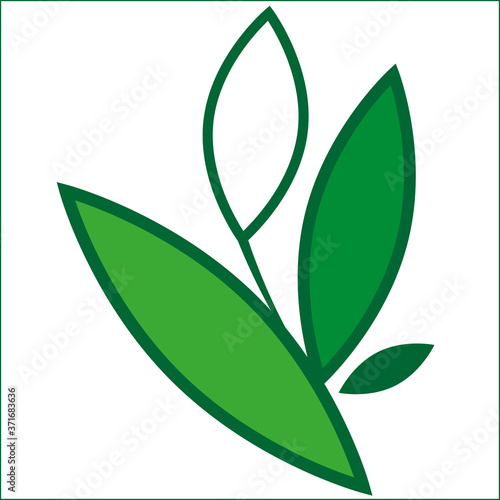 green leaves on little branches vector image
