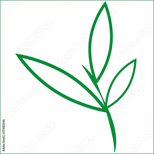 green leaves on little branches vector image