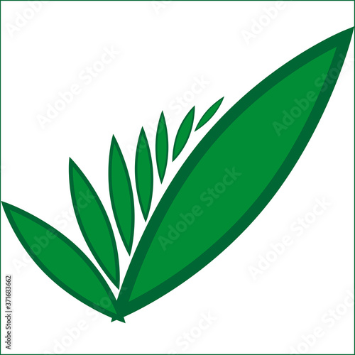 green leaves on little branches vector image