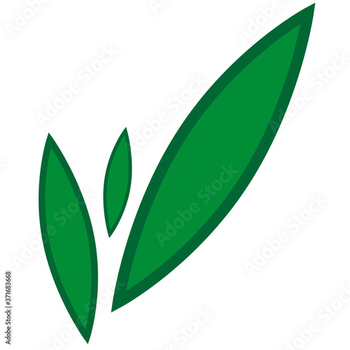 green leaves on little branches vector image