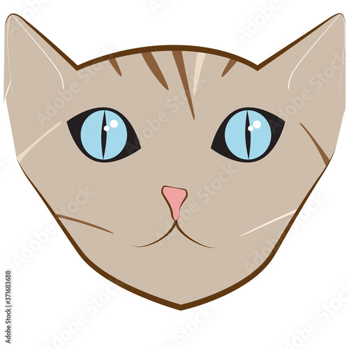 colorful portrait of brown cat with blue eyes and pink nose