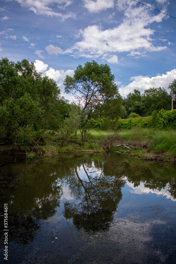 lake in the forest