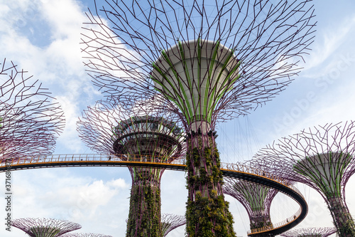 Iconic Supertree Grove at Gardens by the Bay