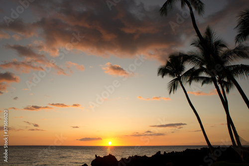 椰子の木と夕焼け © C3F