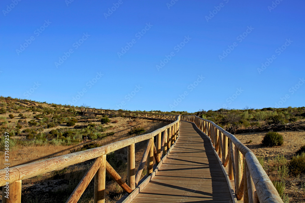 Sendero de Cuesta Maneli over the sand dunes in the natural park of Donana, southern Spain, Andalusia, Europe