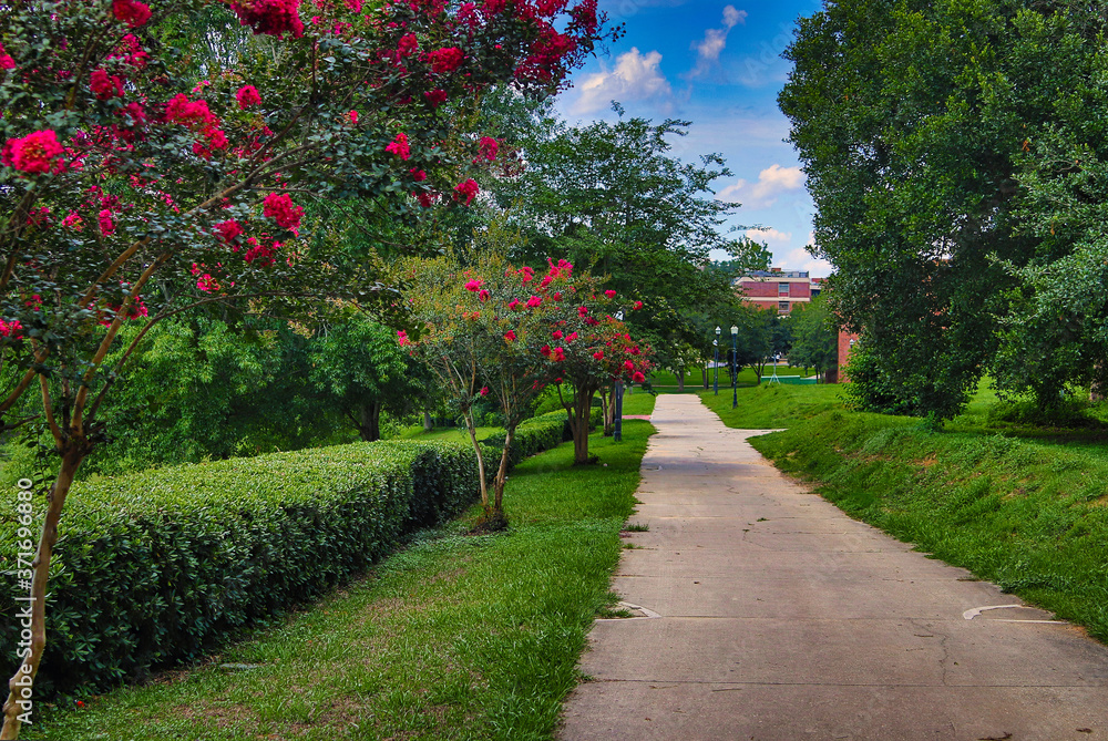 garden, flower, nature, tree, red, flowers, plant, house, green, summer, sky, berries, blossom, park, pink, flora, spring, leaf, bush, color, blue, grass, trees, gardening, beautiful