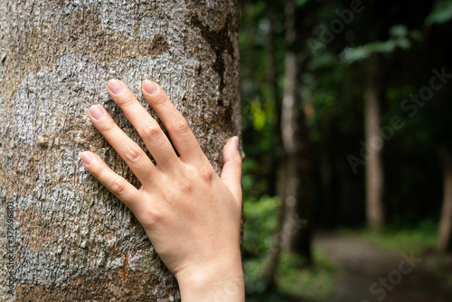 Human hand placed on the tree's trunk with the route ahead in darkness environment as blurred background. Adventure travel or loss in the jungle, horror scene concept photo. © Nattawit