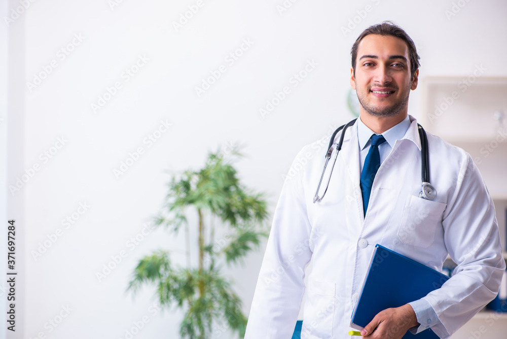 Young male handsome doctor working in the clinic Young male handsome doctor working in the clinic