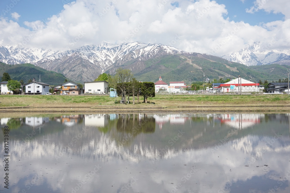 Mountains reflected on rice fields in the Japanese Alps, Hakuba, Japan 