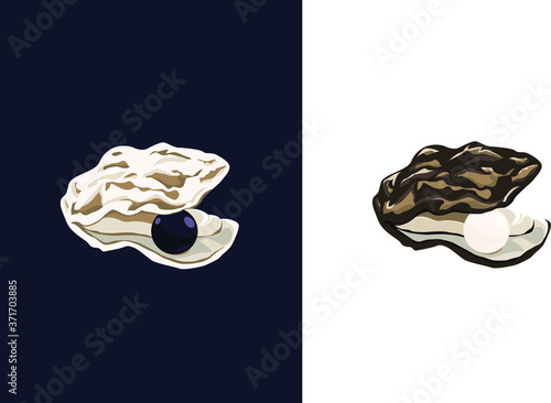 Pearl in the sea shell vector