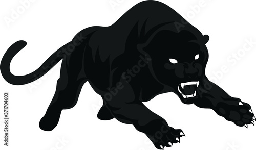 Aggressive Black Panther attacking the prey