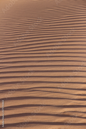 Sand dune in Utah.