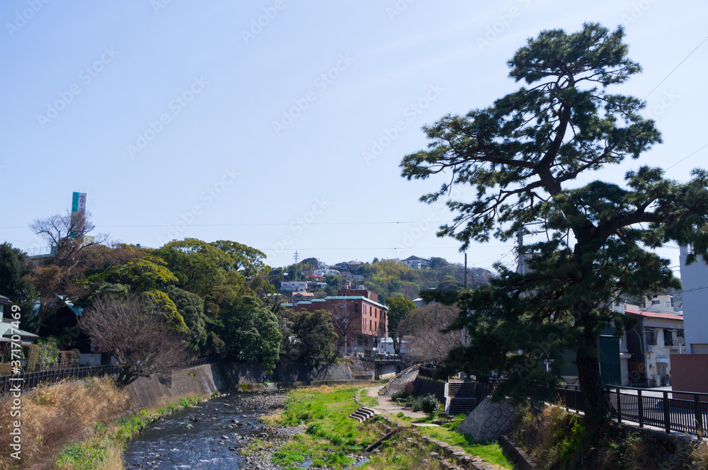 伊東市の松川遊歩道 伊東市の松川遊歩道