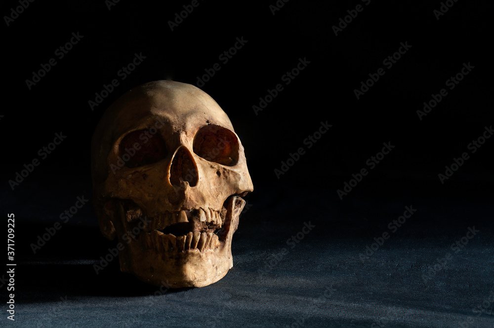 Single skull put on the black table and black wall in morgue room dim light Single skull put on the black table and black wall in morgue room dim light