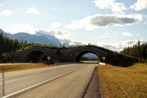 A photo of a wildife crossing or bridge, an overpass over a highway outside of Banff, Alberta, Canada. photo