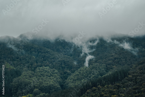 " The beauty of a misty morning. " - Hawagala mountain is one of the most beautiful mountain range located in belihul Oya , Srilanka.