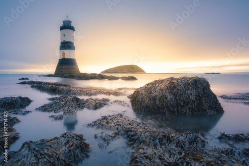 Seaweed, rocks, lighthouse and an island at sunset in the UK