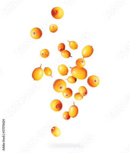 Ripe berries of sea buckthorn in the air close-up, isolated on a white background