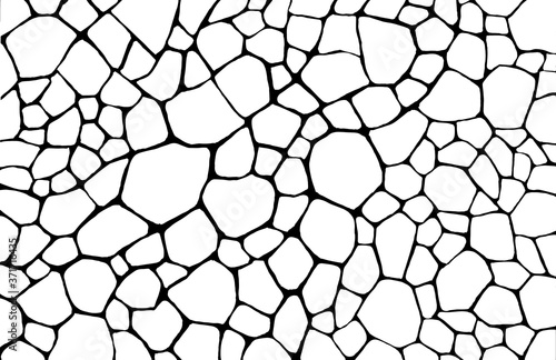 Cracked earth texture. Drought white background. Hand drawn vector illustration. Poster, banner, print. Black and white artwork, monochrome