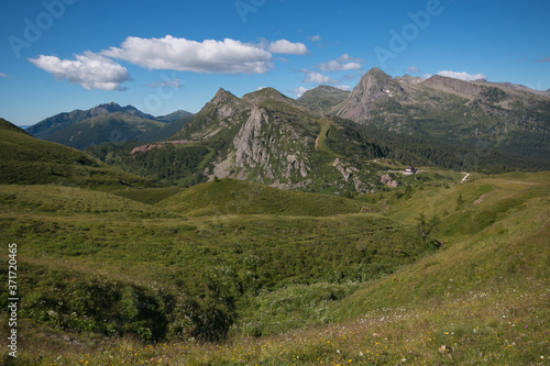 View of dolomites near Passo Rolle on sunny day of summer in Trentino  Italy