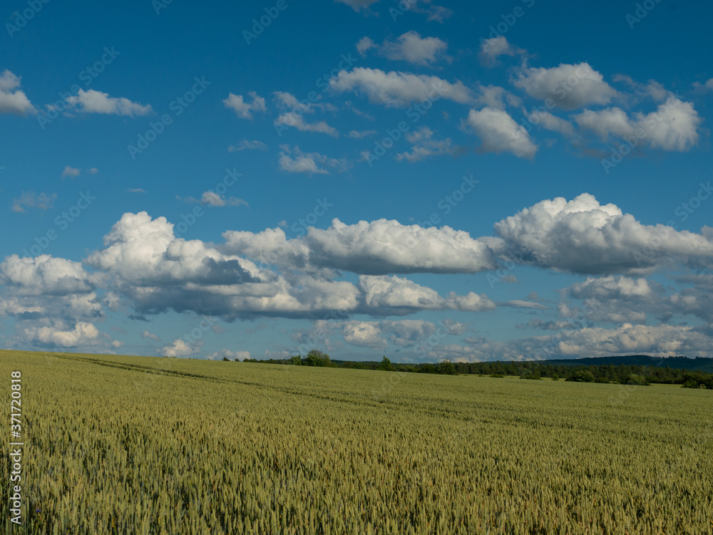 Obraz premium Landschaft im Sommer