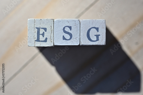 The word cube formed "ESG" on table in forest.