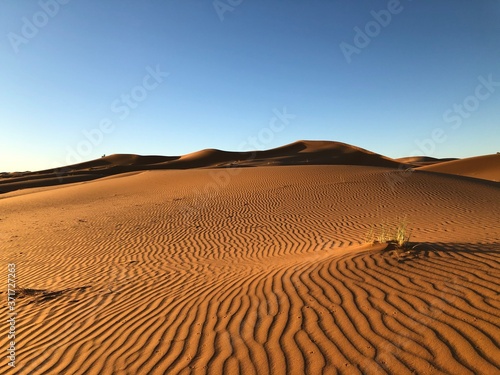 Rote Wüste am Morgen