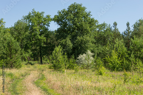 Landscape images of nature near the village of Cheremukhovo  Samara region