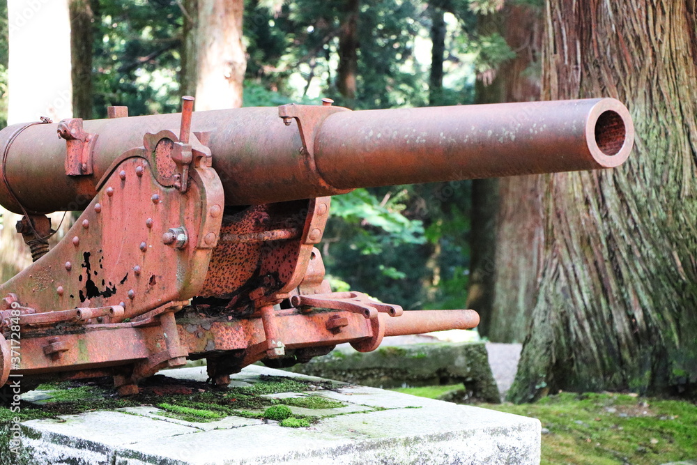 森の中にある古い大砲