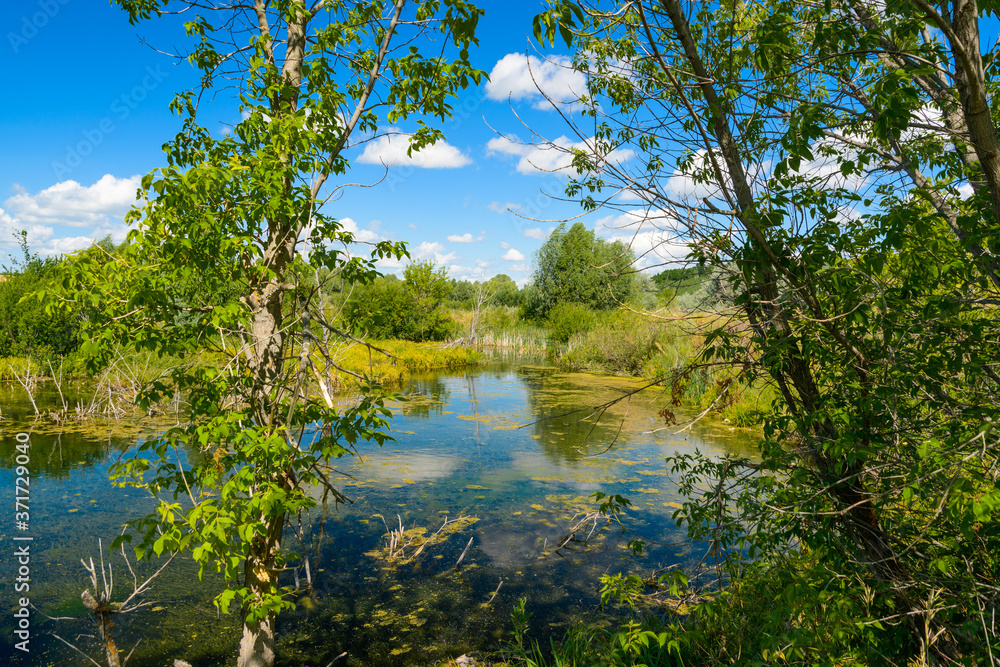 Fototapeta premium Landscape images of nature in Syzran district