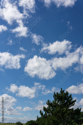 Landschaft im Sommer