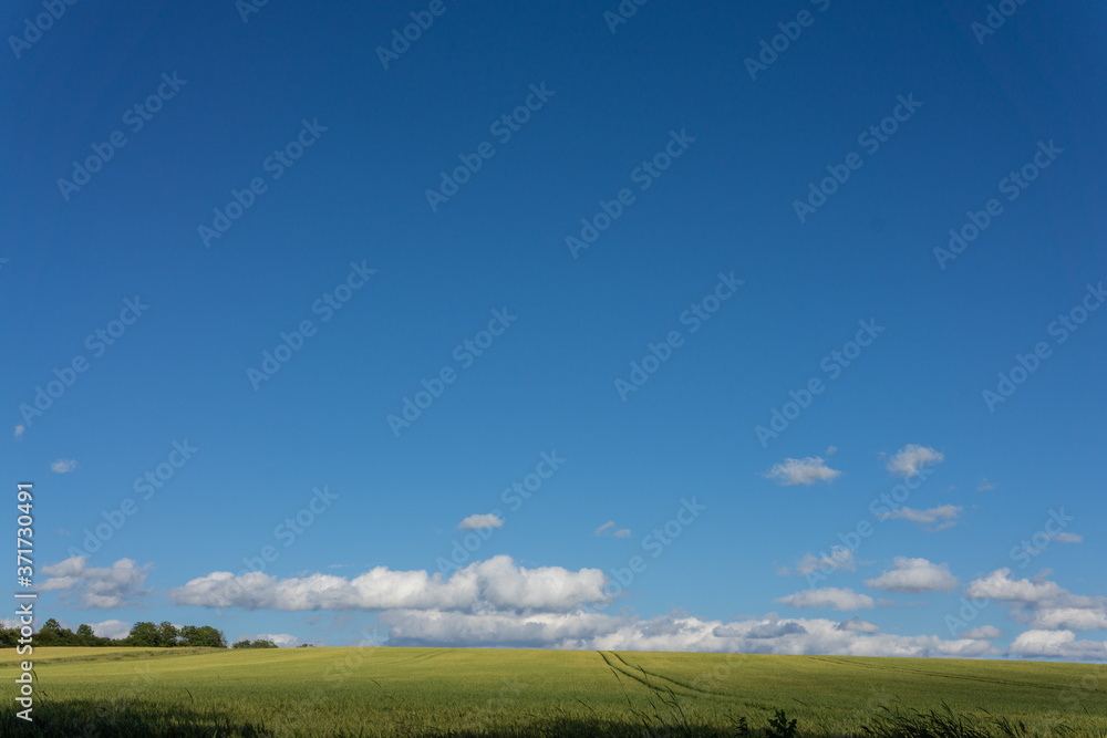 Landschaft im Sommer Landschaft im Sommer