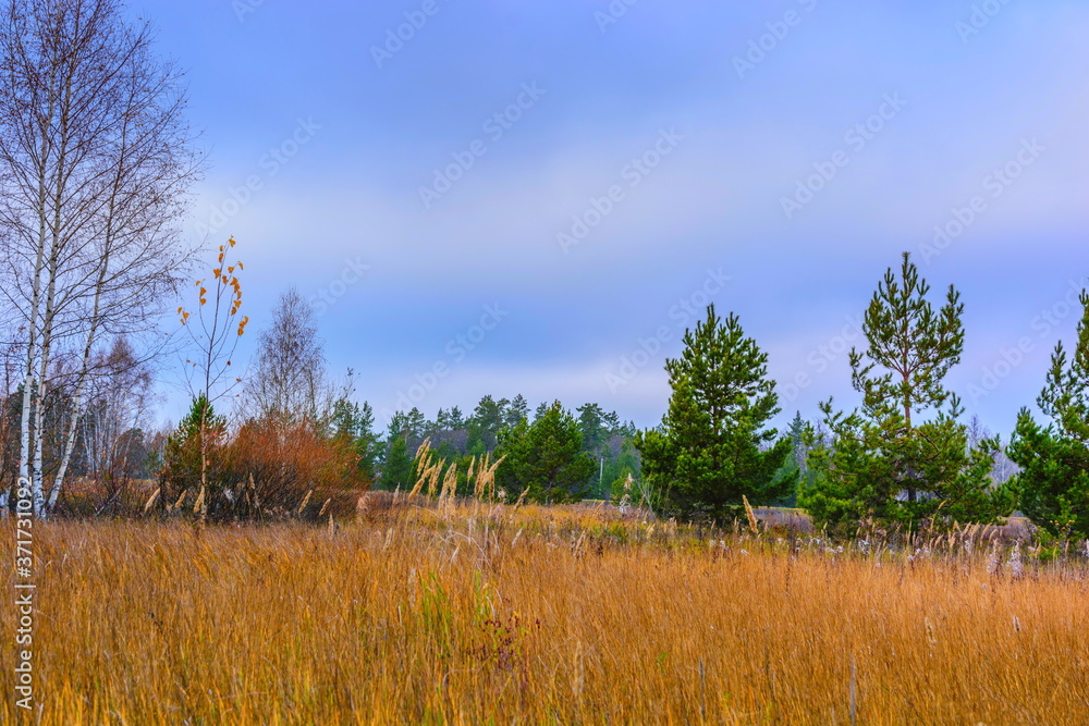 Fototapeta premium Landscape images of nature in Syzran district